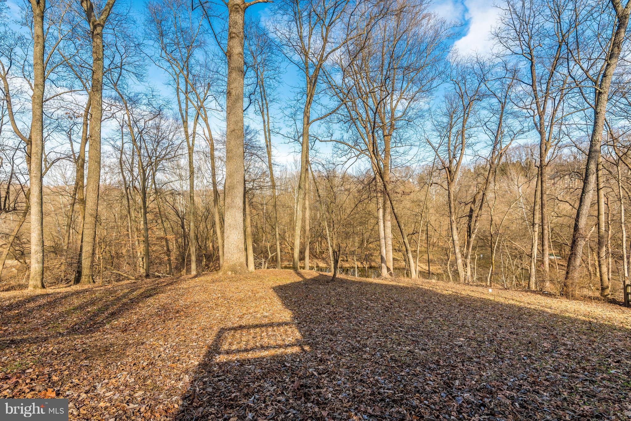 6748 Hemlock Point Road New Market, MD 21774 - Photo 26 of 30 Exterior Rear - Lake Linganore Access from Inlet