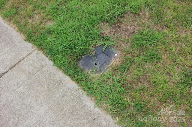 a view of a garden with a plants