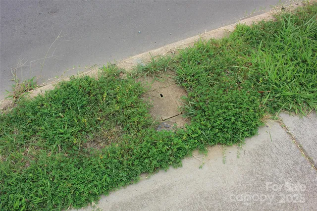 a view of a plant with a yard
