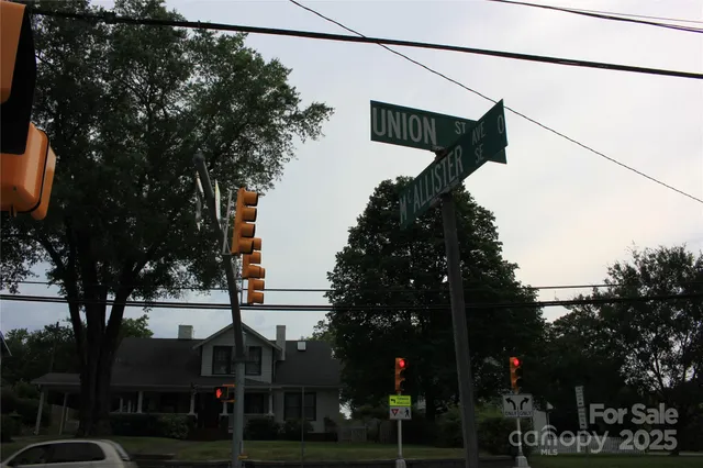 a view of a yard with plants and trees