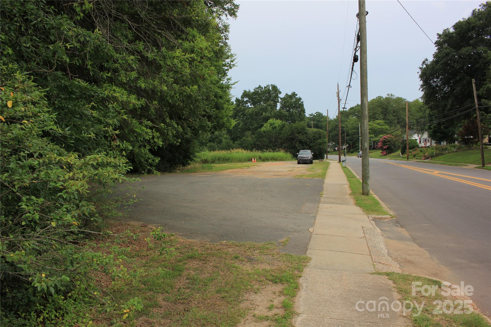 571 Union Street South Concord, NC 28025 - Photo 16 of 34 a view of a yard with plants and trees