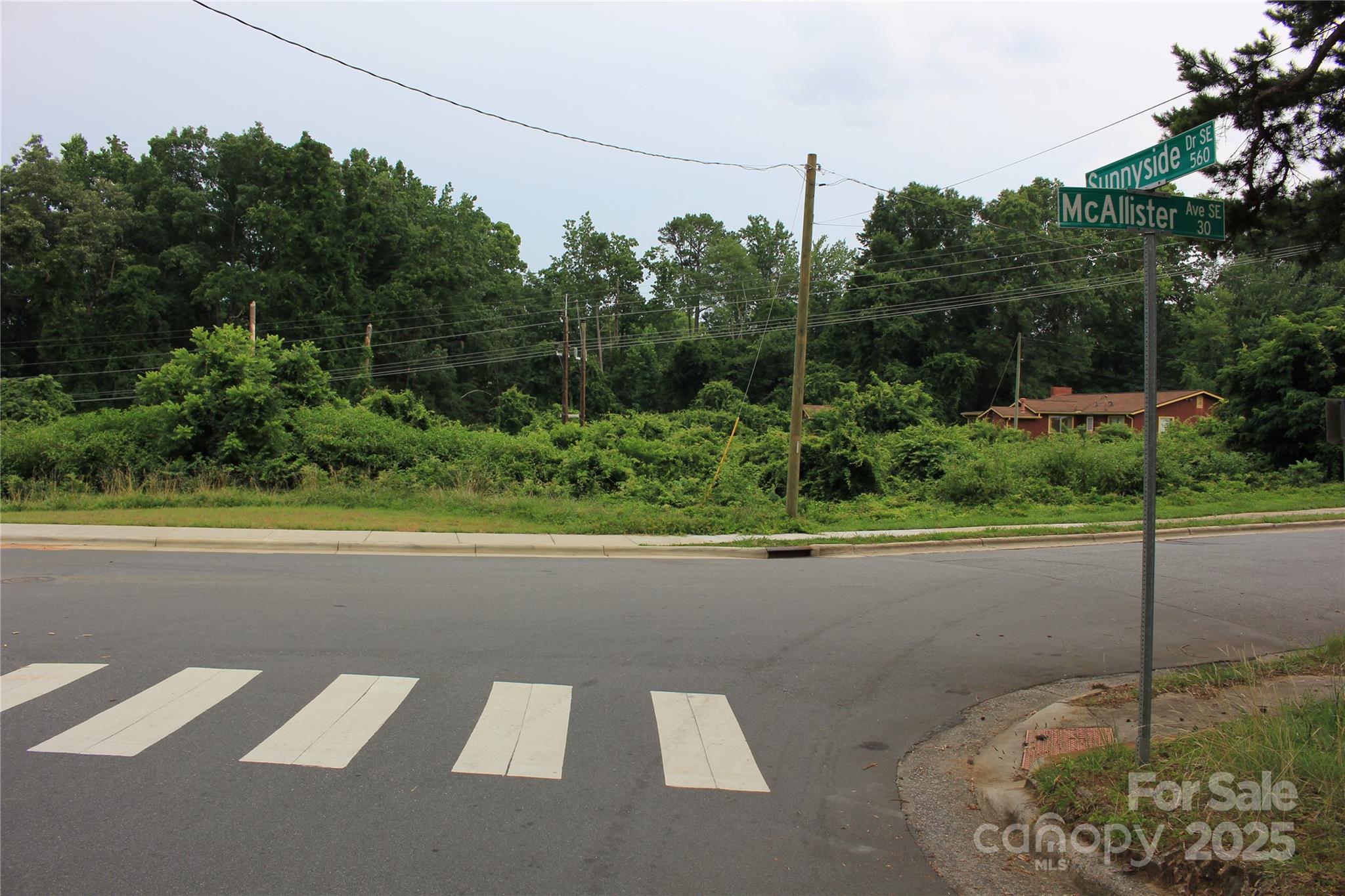 571 Union Street South Concord, NC 28025 - Photo 18 of 34 a backyard of a house with lots of green space