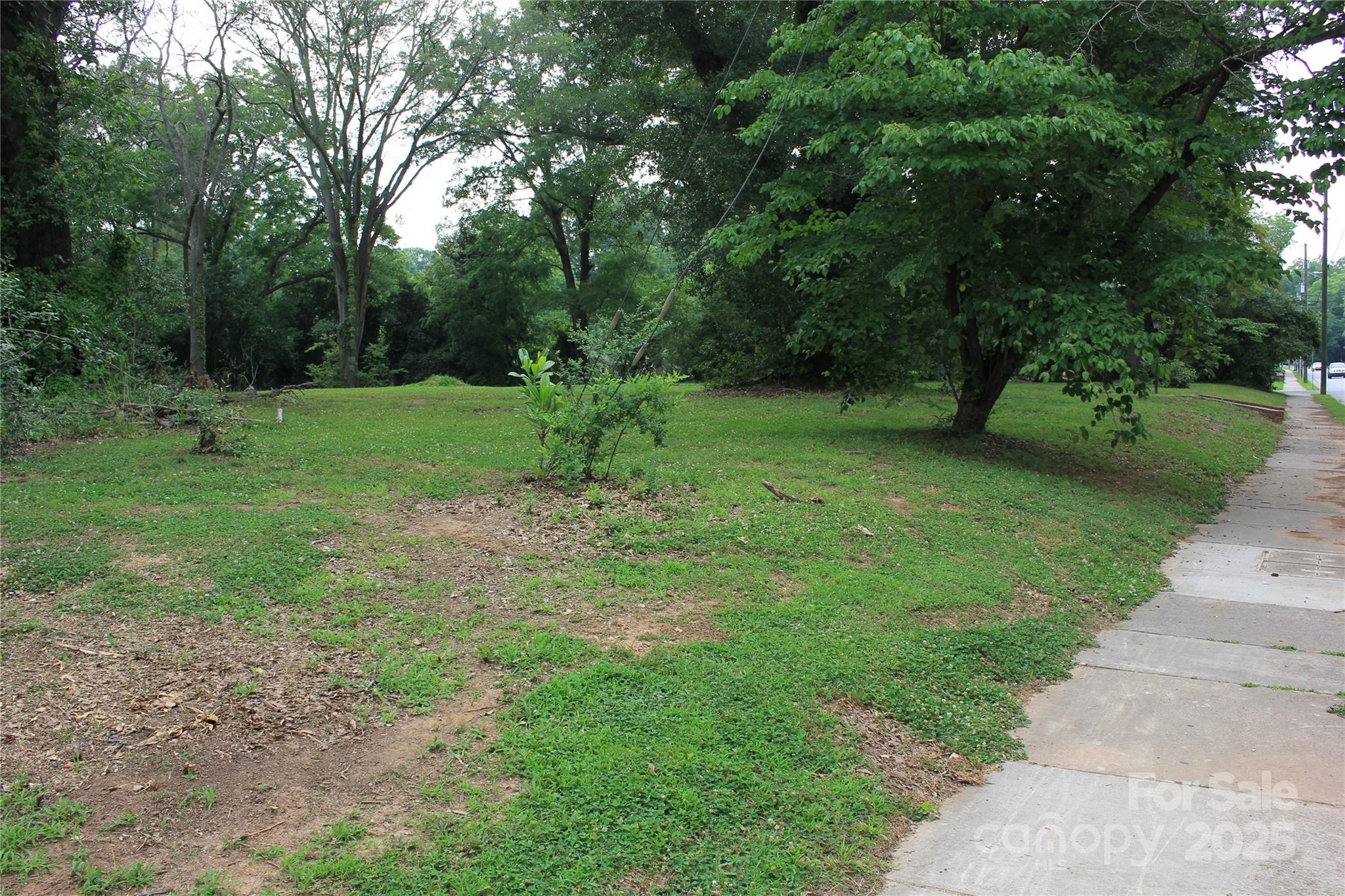 571 Union Street South Concord, NC 28025 - Photo 22 of 34 a big yard with lots of green space and trees