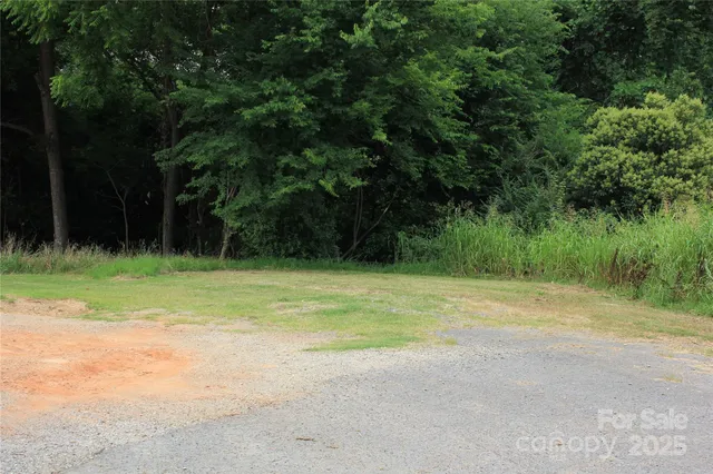 a view of a yard with a trees