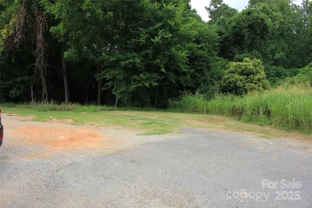 a view of a field with trees in the background
