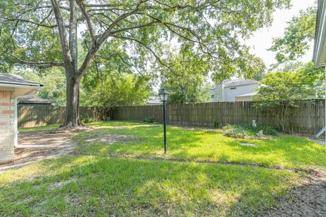 a backyard of a house with plants and large tree