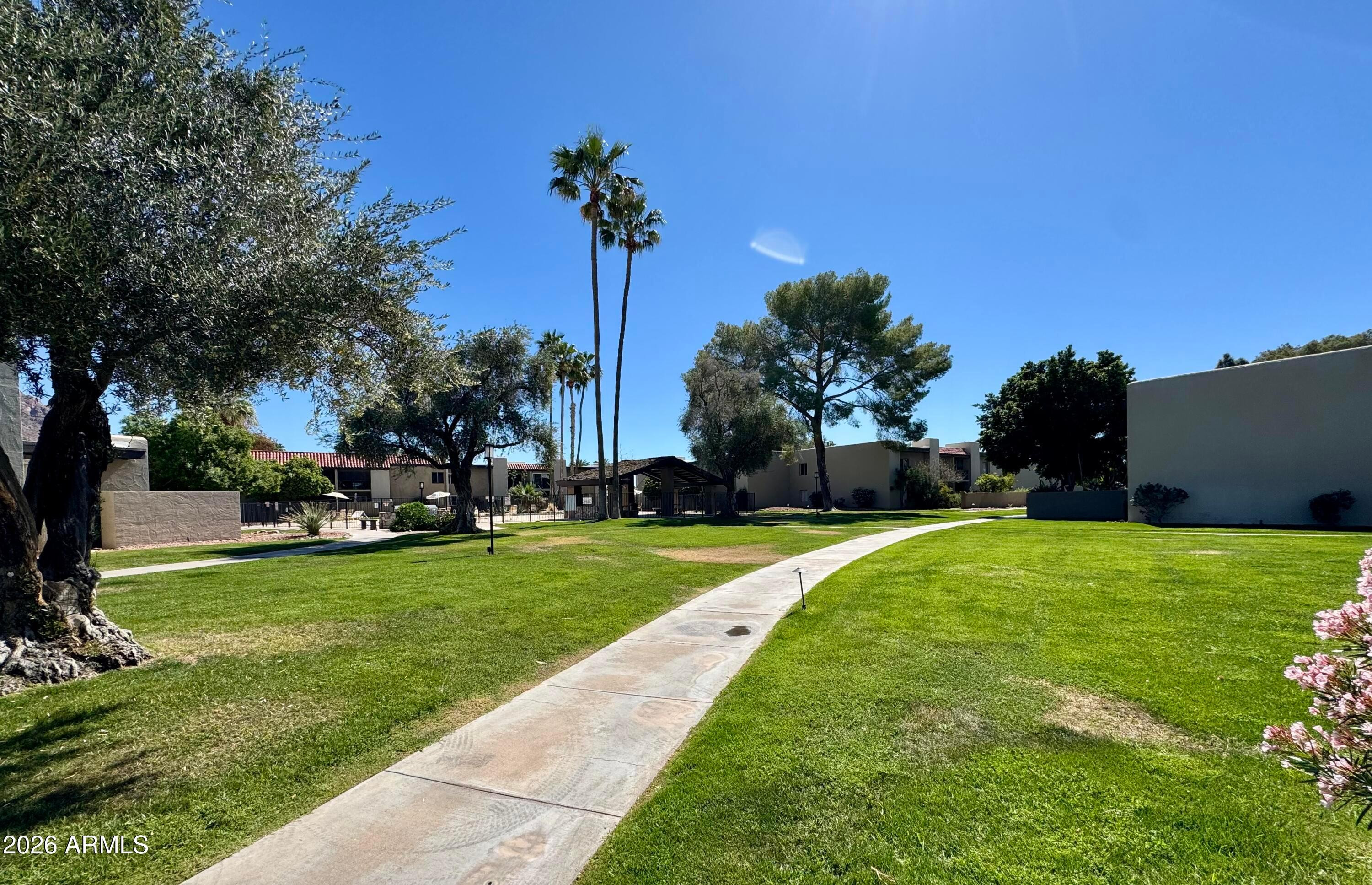 4201 East Camelback Road, Unit 18 Phoenix, AZ 85018 - Photo 2 of 4 a view of a park and trees