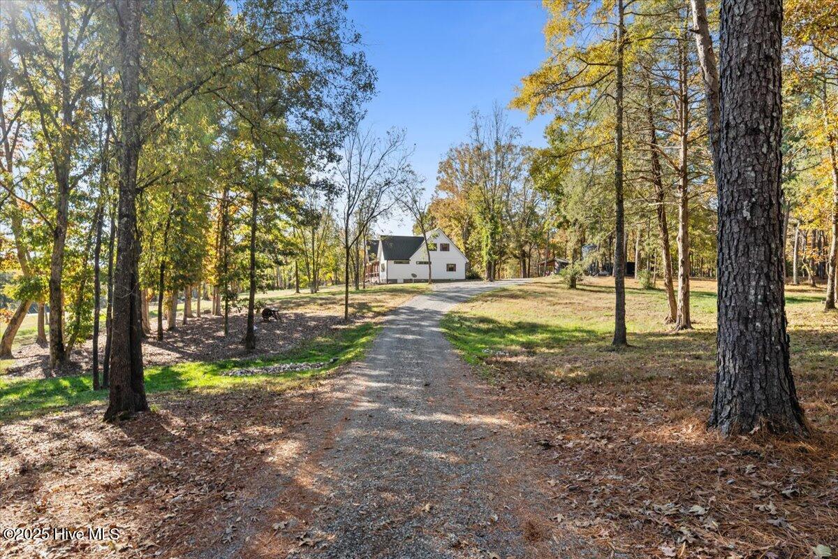 151 Borden Road Carthage, NC 28327 - Photo 9 of 48 08-DSC01956