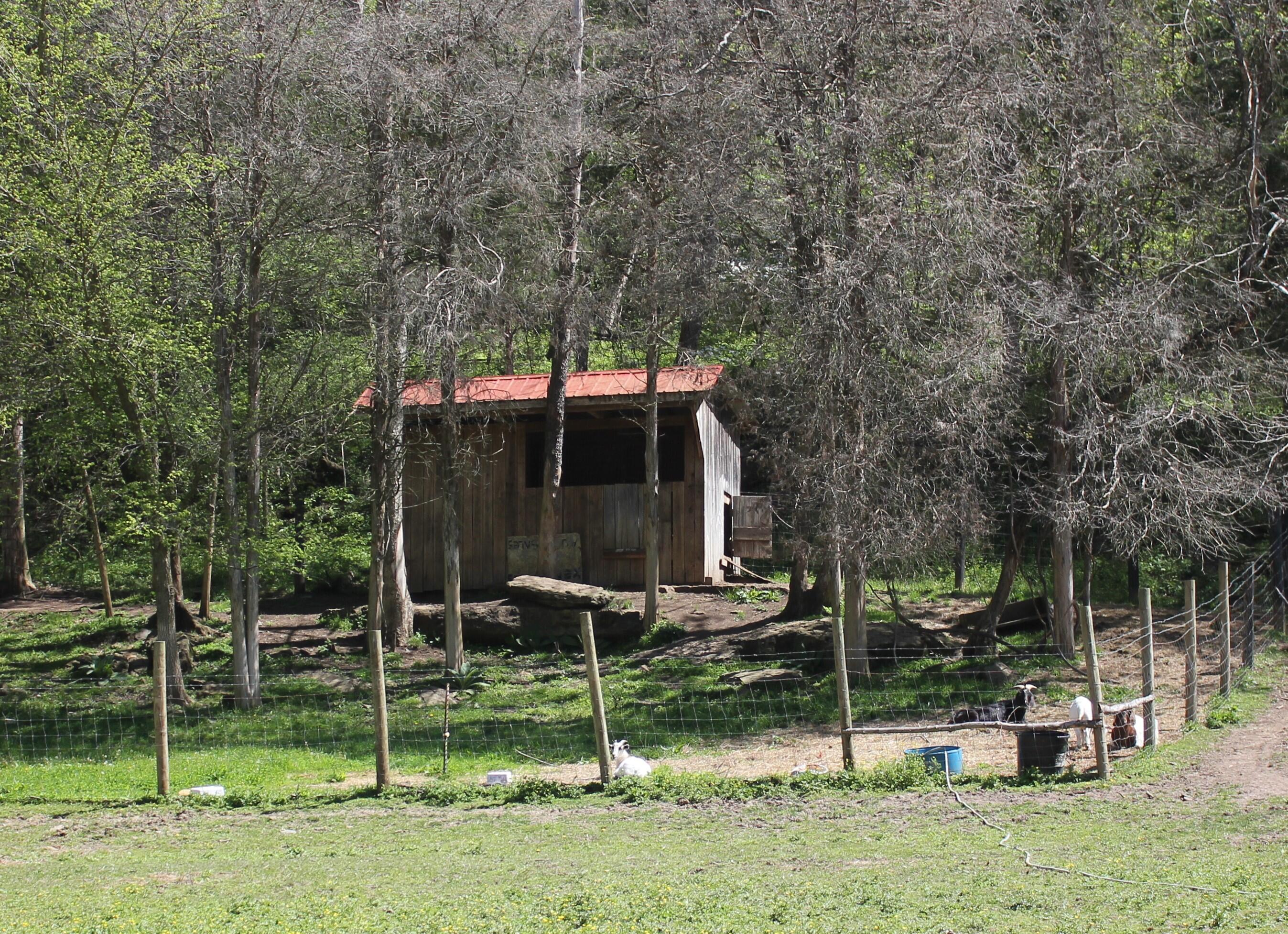 1339 Red Lick Road Berea, KY 40403 - Photo 14 of 40 IMG_0976