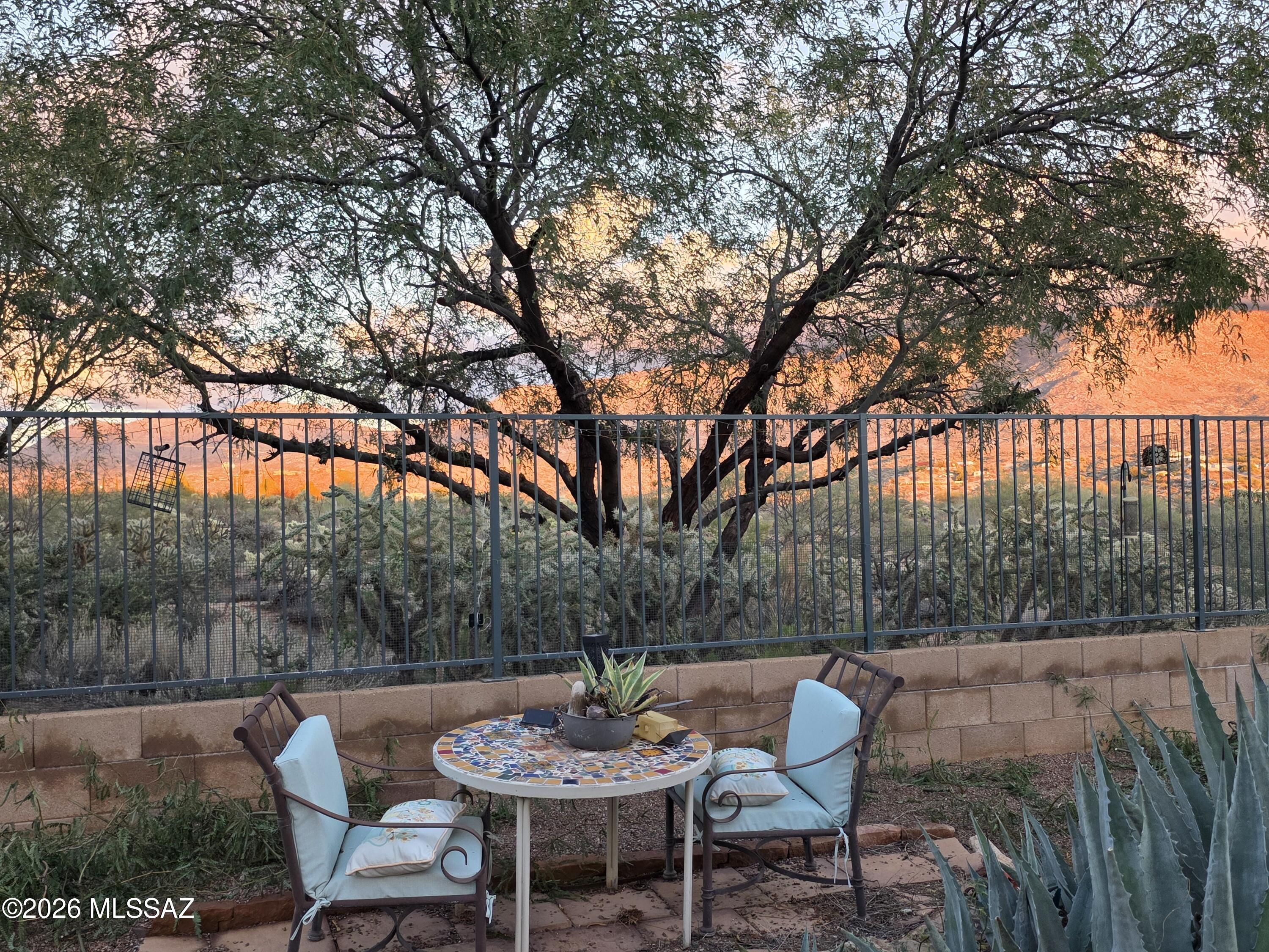 15142 North Rugged Lark Drive Tucson, AZ 85739 - Photo 5 of 32 Rugged Lark backyard photo 5
