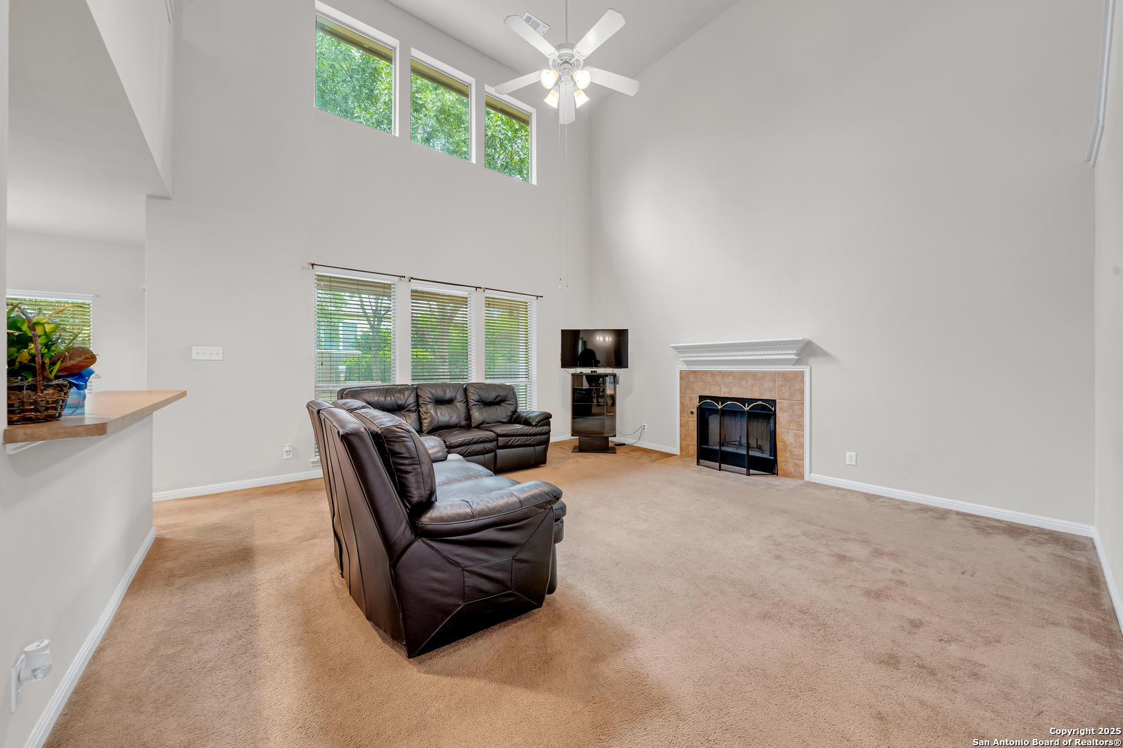 9243 McCafferty Drive Helotes, TX 78023 - Photo 5 of 40 a living room with furniture and a fireplace