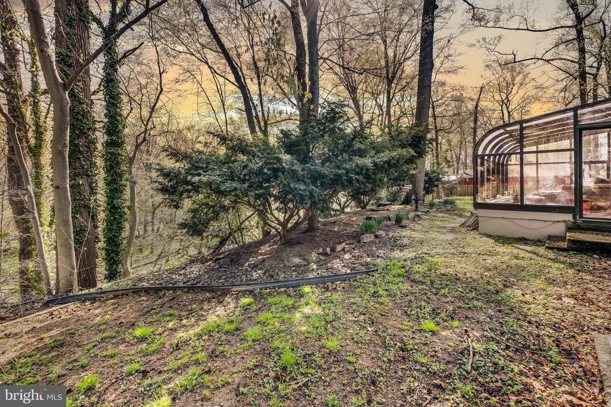 126 Eayrestown Road Medford, NJ 08055 - Photo 37 of 51 Back Yard