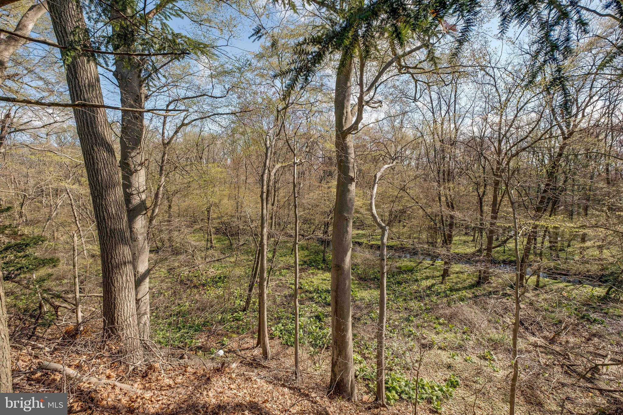 126 Eayrestown Road Medford, NJ 08055 - Photo 48 of 51 View from the Back Yard