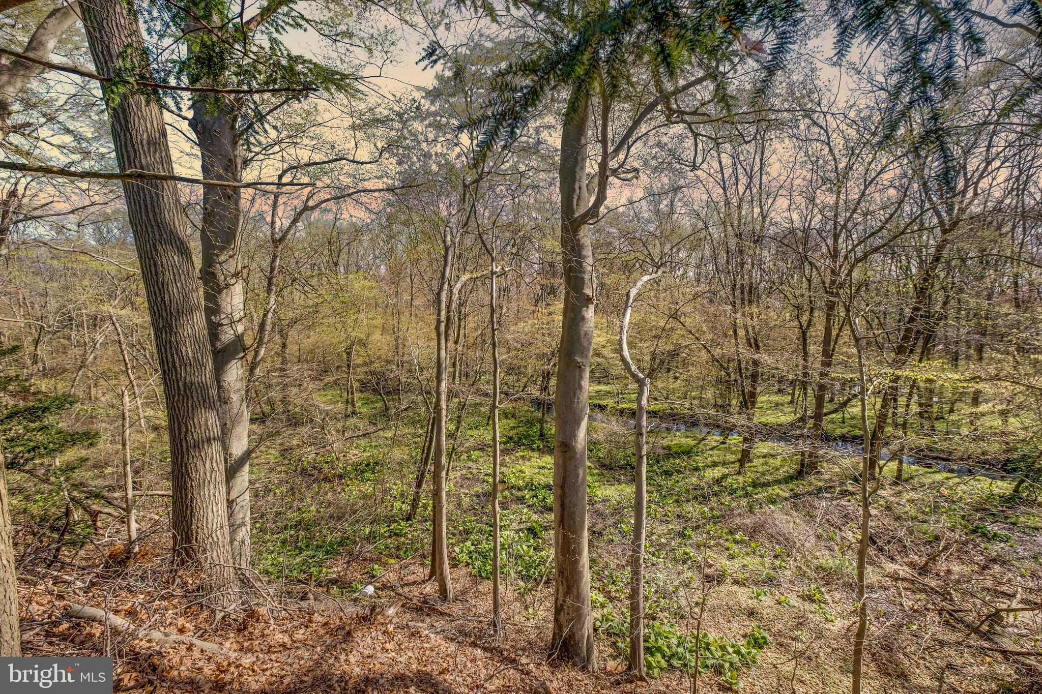 126 Eayrestown Road Medford, NJ 08055 - Photo 49 of 51 Creek out back