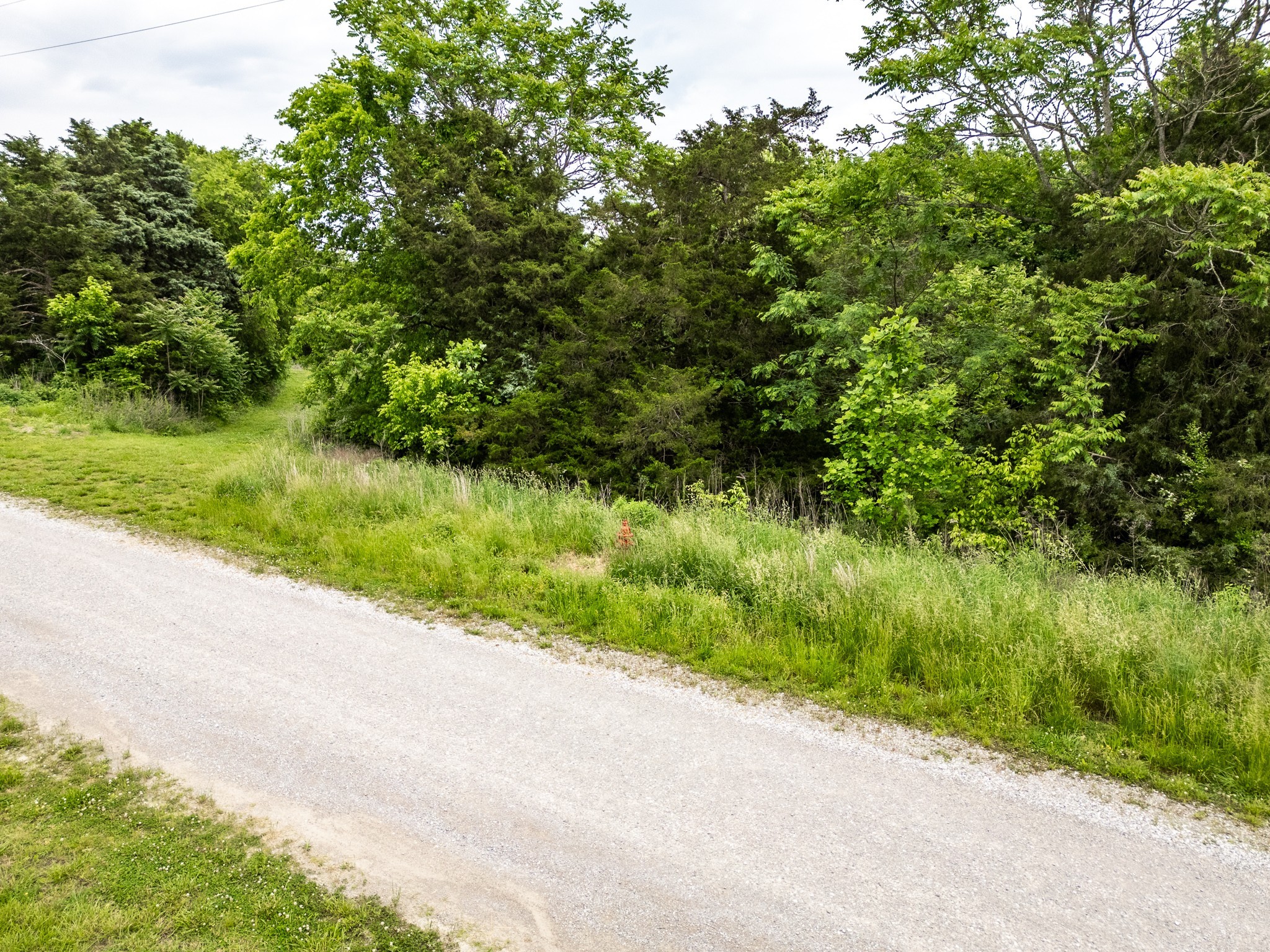 0 Lake Bluff Road Baxter, TN 38544 - Photo 12 of 13 a view of a street both side of grassy field