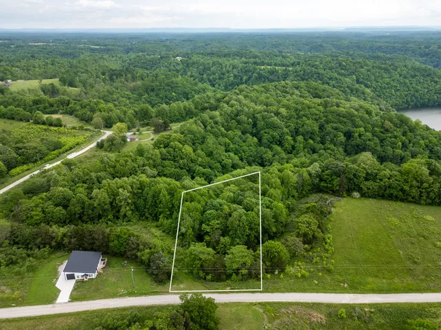 a view of a lush green forest with a house