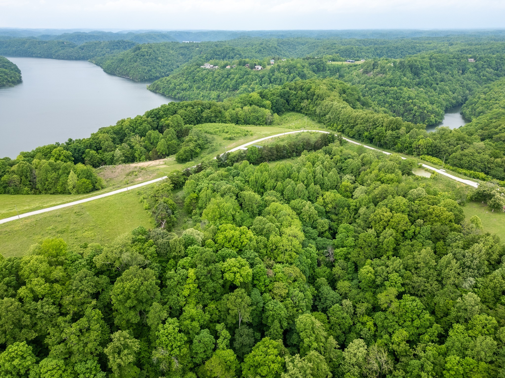 0 Lake Bluff Road Baxter, TN 38544 - Photo 7 of 13 a view of a green yard with large trees
