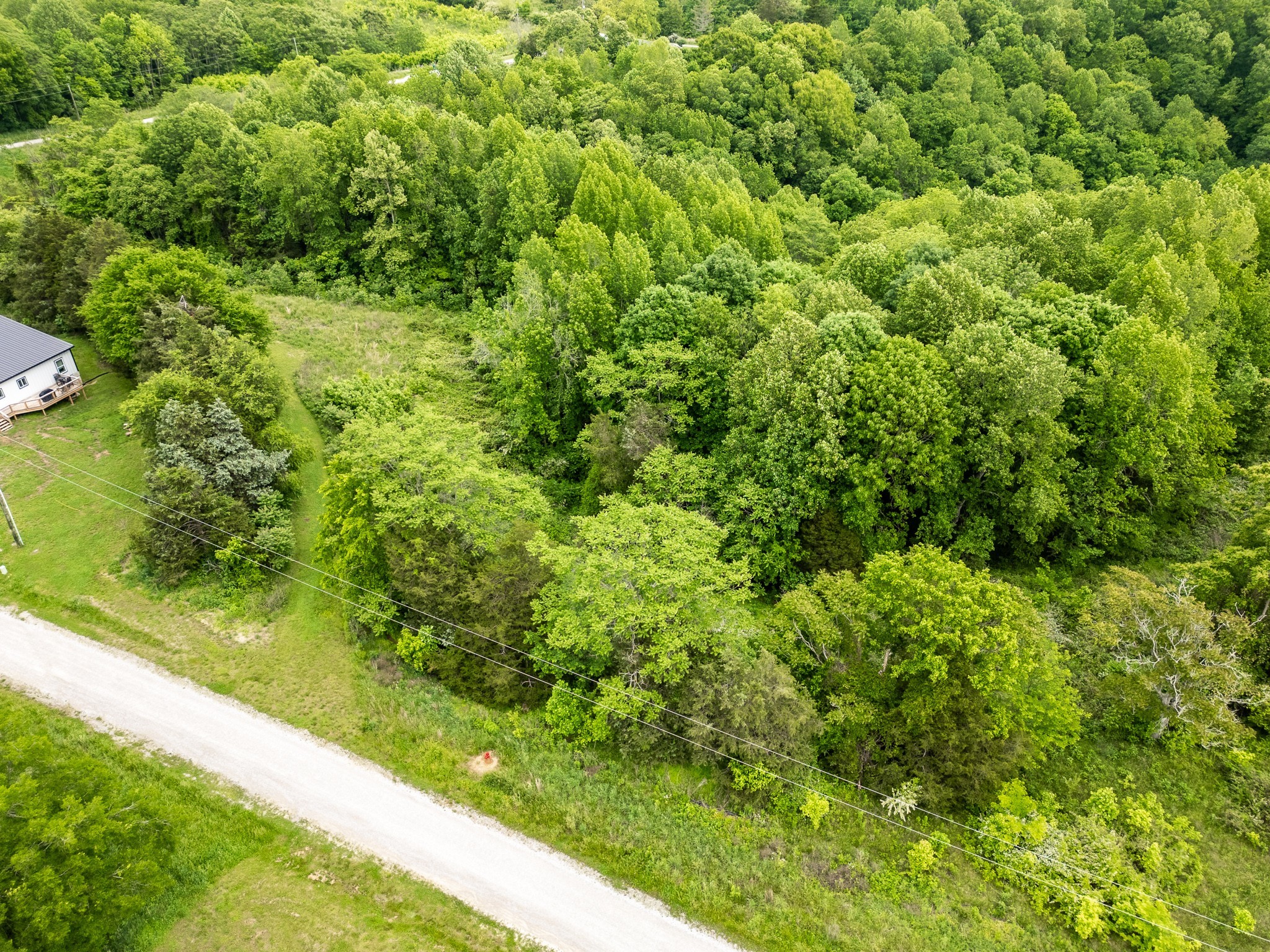 0 Lake Bluff Road Baxter, TN 38544 - Photo 10 of 13