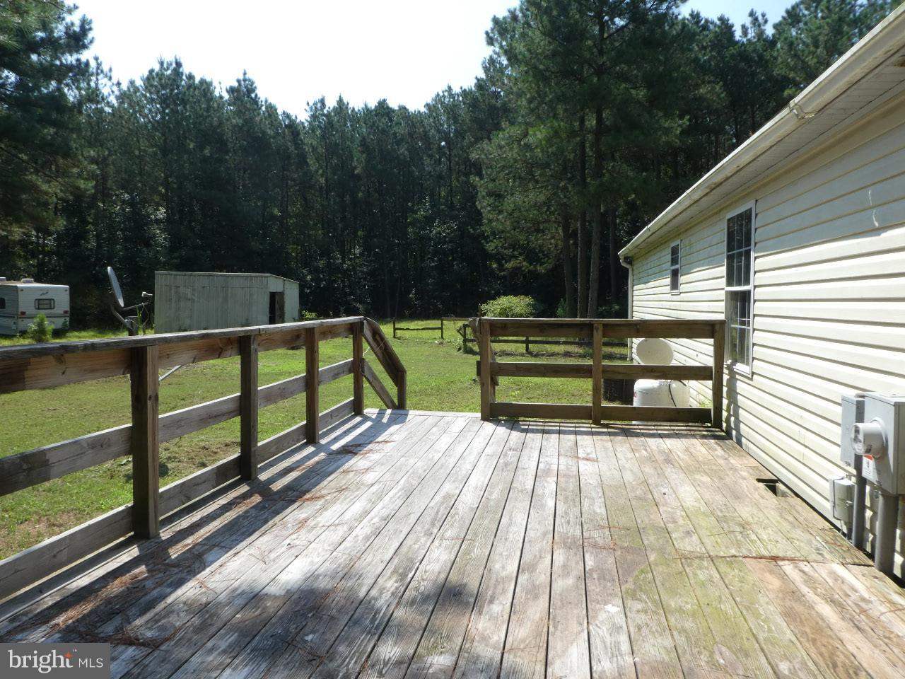 7210 Stevens Road Eden, MD 21822 - Photo 13 of 16 Exterior (Rear)