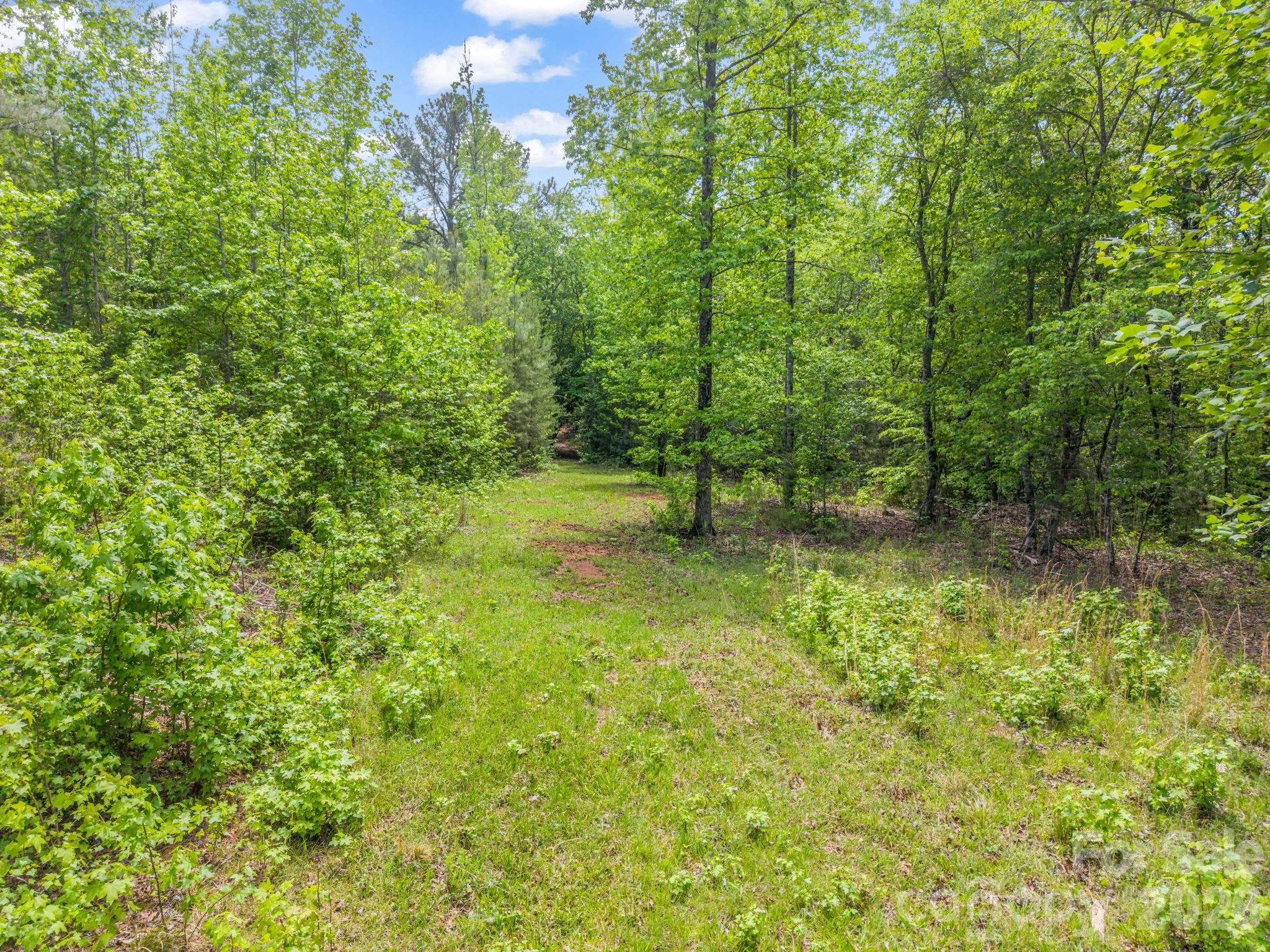 0 Romey Campbell Road Ellenboro, NC 28040 - Photo 6 of 41