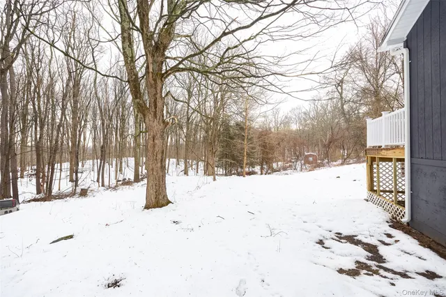 a front view of a house with a yard covered in snow