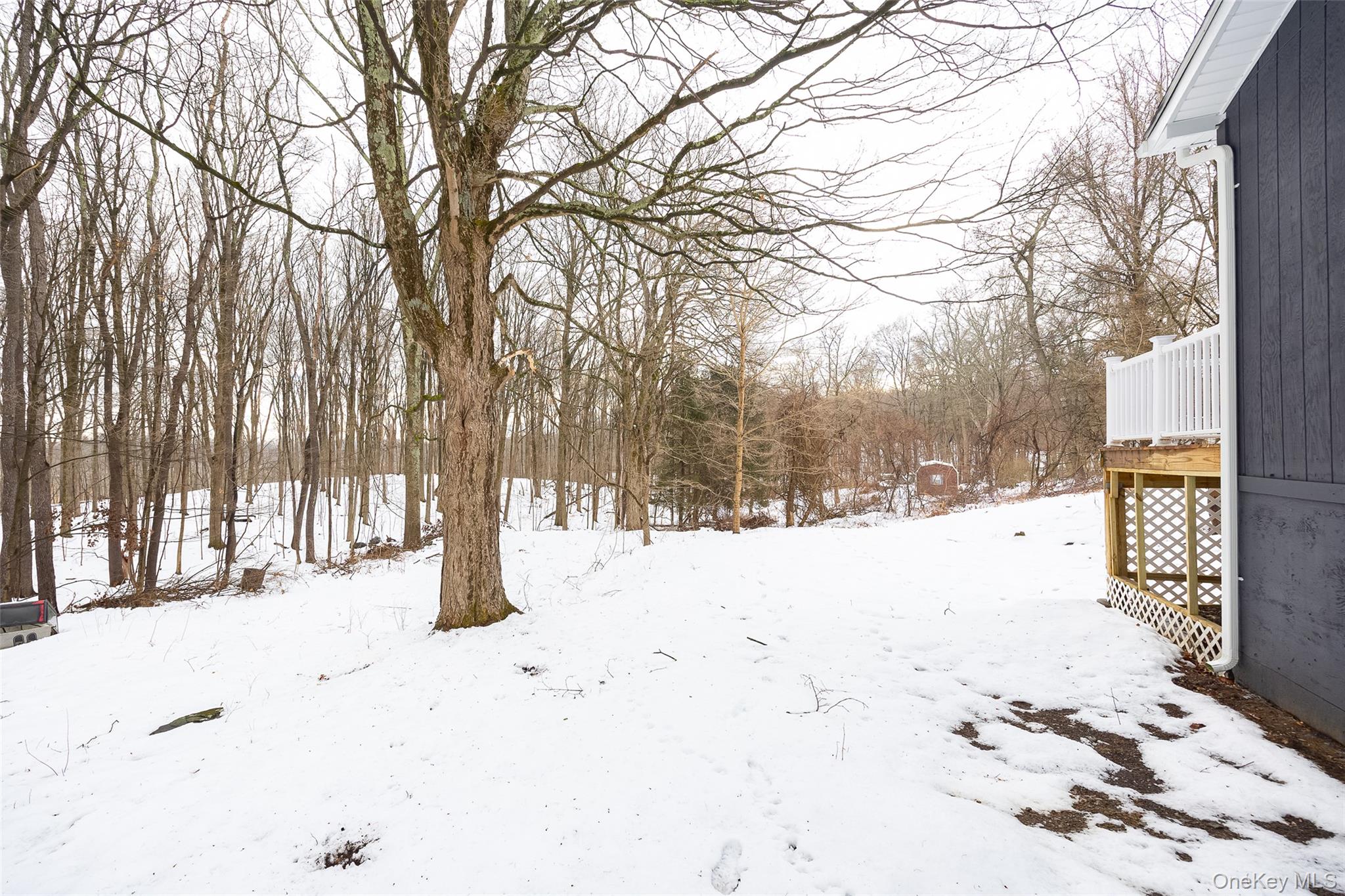 534-536 River Road Rhinebeck, NY 12572 - Photo 30 of 37 a view of snow on the road