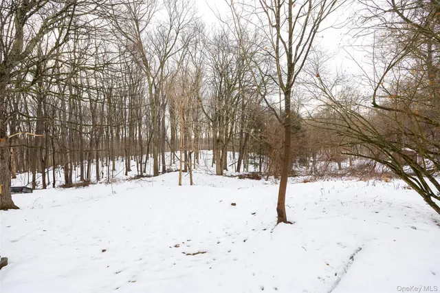 a view of snow on the road