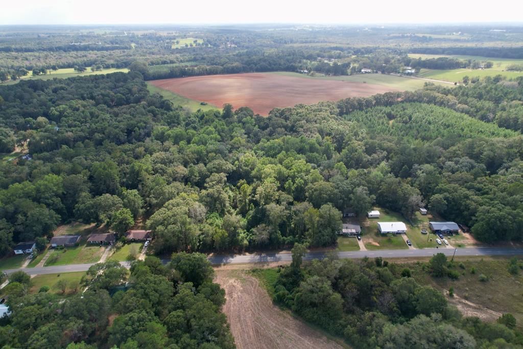 0 JB Chapman Road Midland City, AL 36350 - Photo 1 of 9