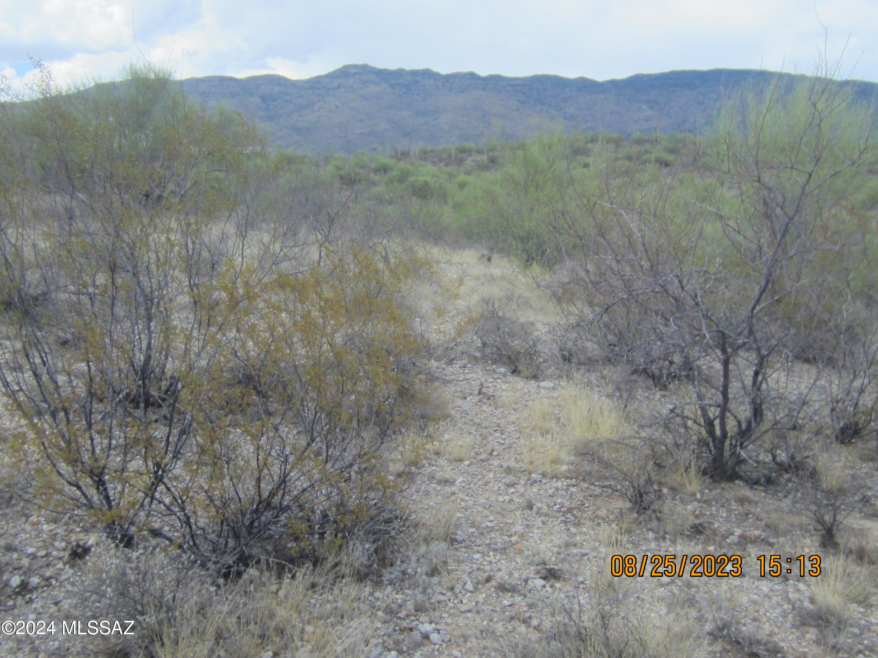 0 East Rincon Creek Ranch Road Tucson, AZ 85747 - Photo 15 of 46 Gallery Image 15