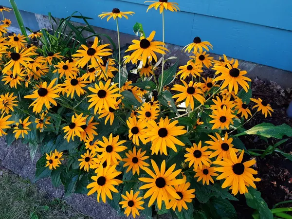 $149,900 | 206 West Street, Walters, MN 56097