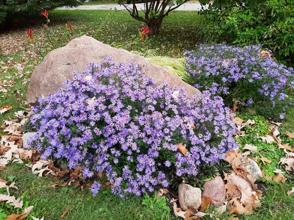 $149,900 | 206 West Street, Walters, MN 56097