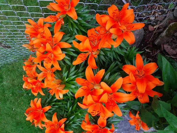 $149,900 | 206 West Street, Walters, MN 56097