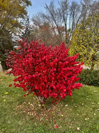 $149,900 | 206 West Street, Walters, MN 56097