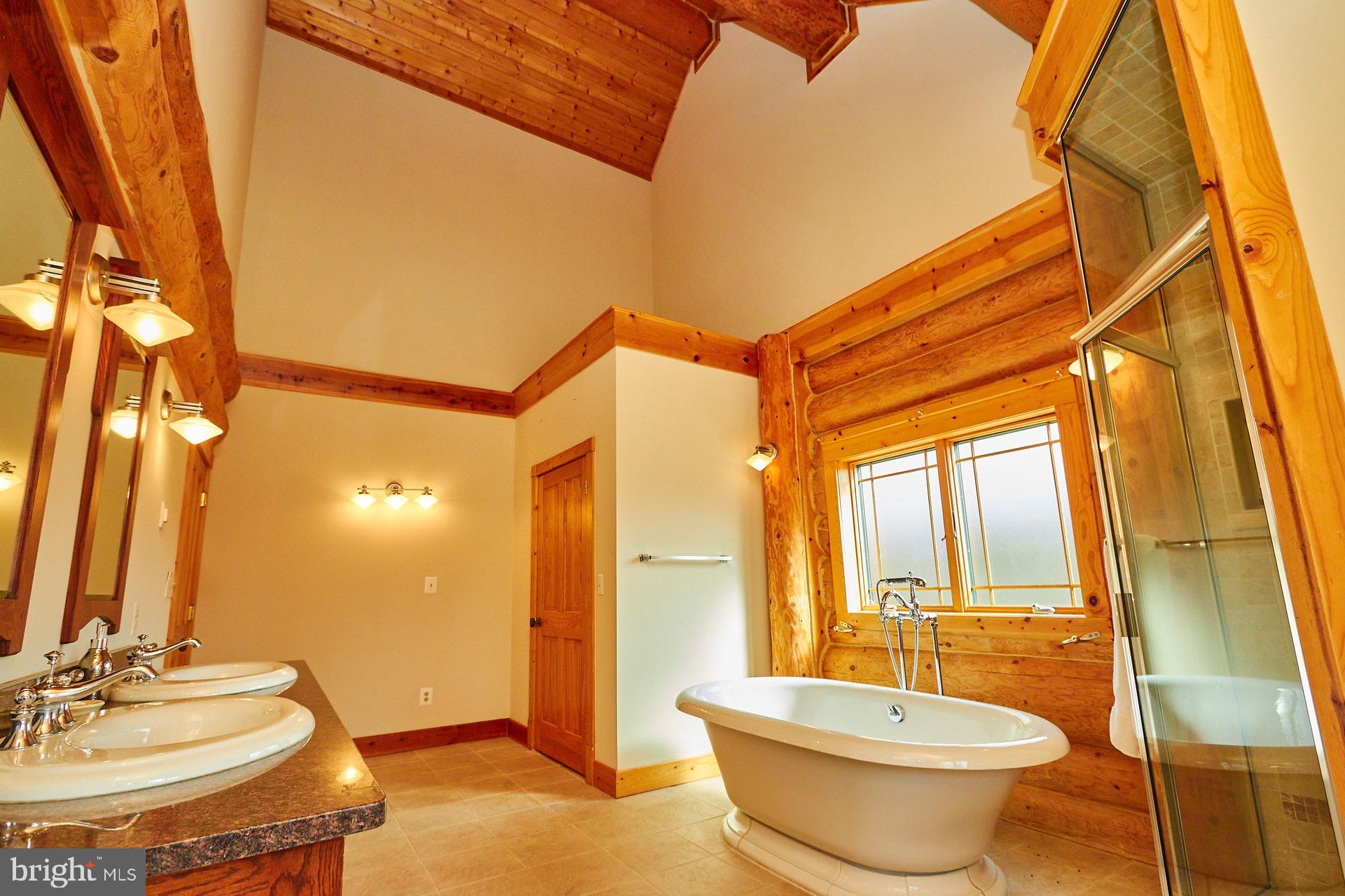 14047 Hume Road Hume, VA 22639 - Photo 31 of 73 Free Standing bathbub.