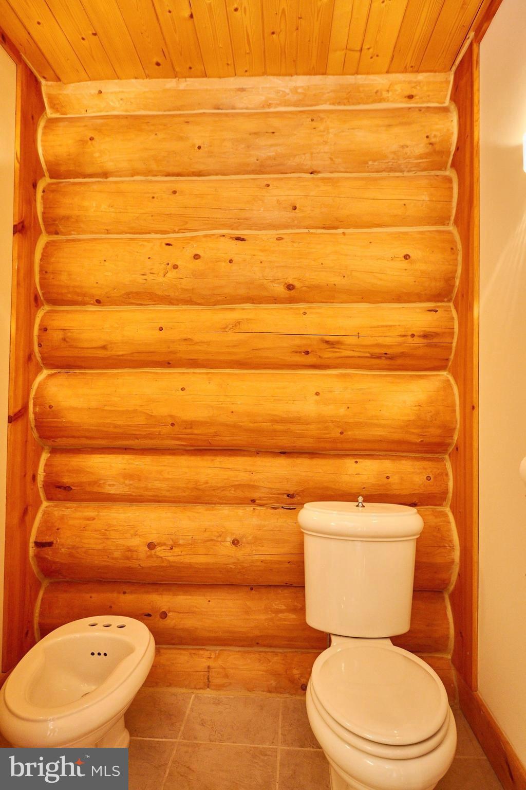 14047 Hume Road Hume, VA 22639 - Photo 32 of 73 Water Room w/bidet and toilet