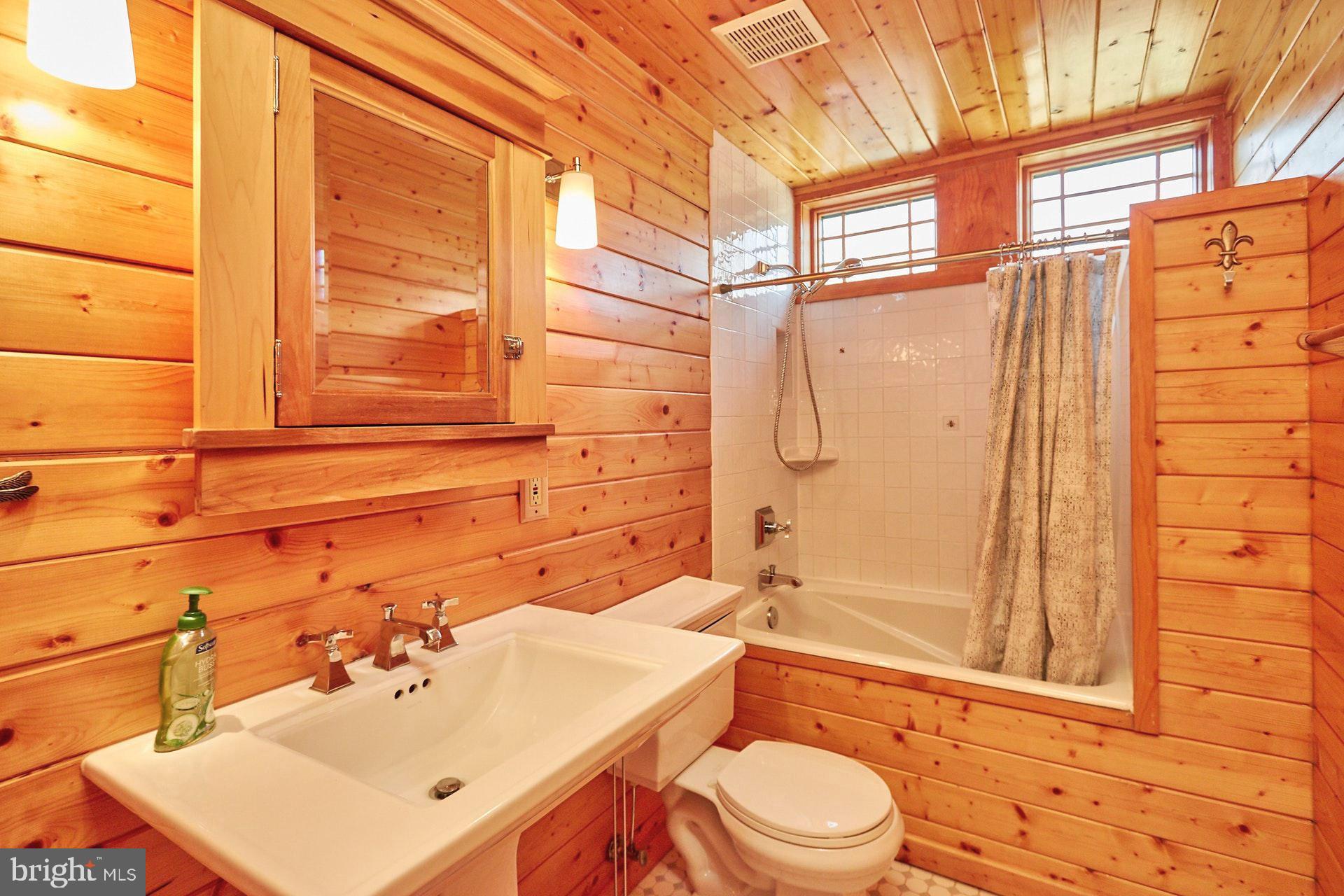 14047 Hume Road Hume, VA 22639 - Photo 40 of 73 Hall Bath with shower/tub