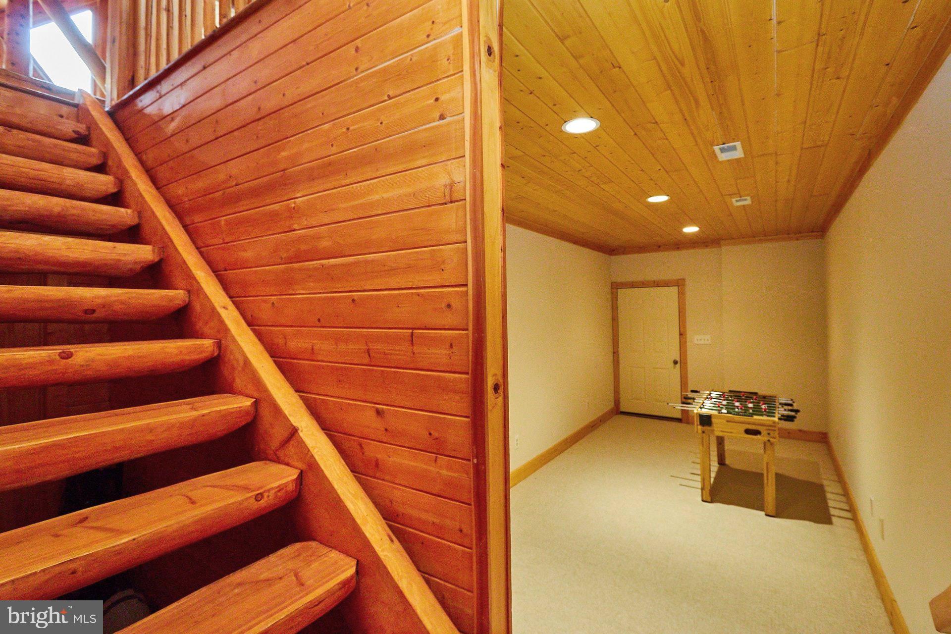 14047 Hume Road Hume, VA 22639 - Photo 43 of 73 Stairs to Lower Level