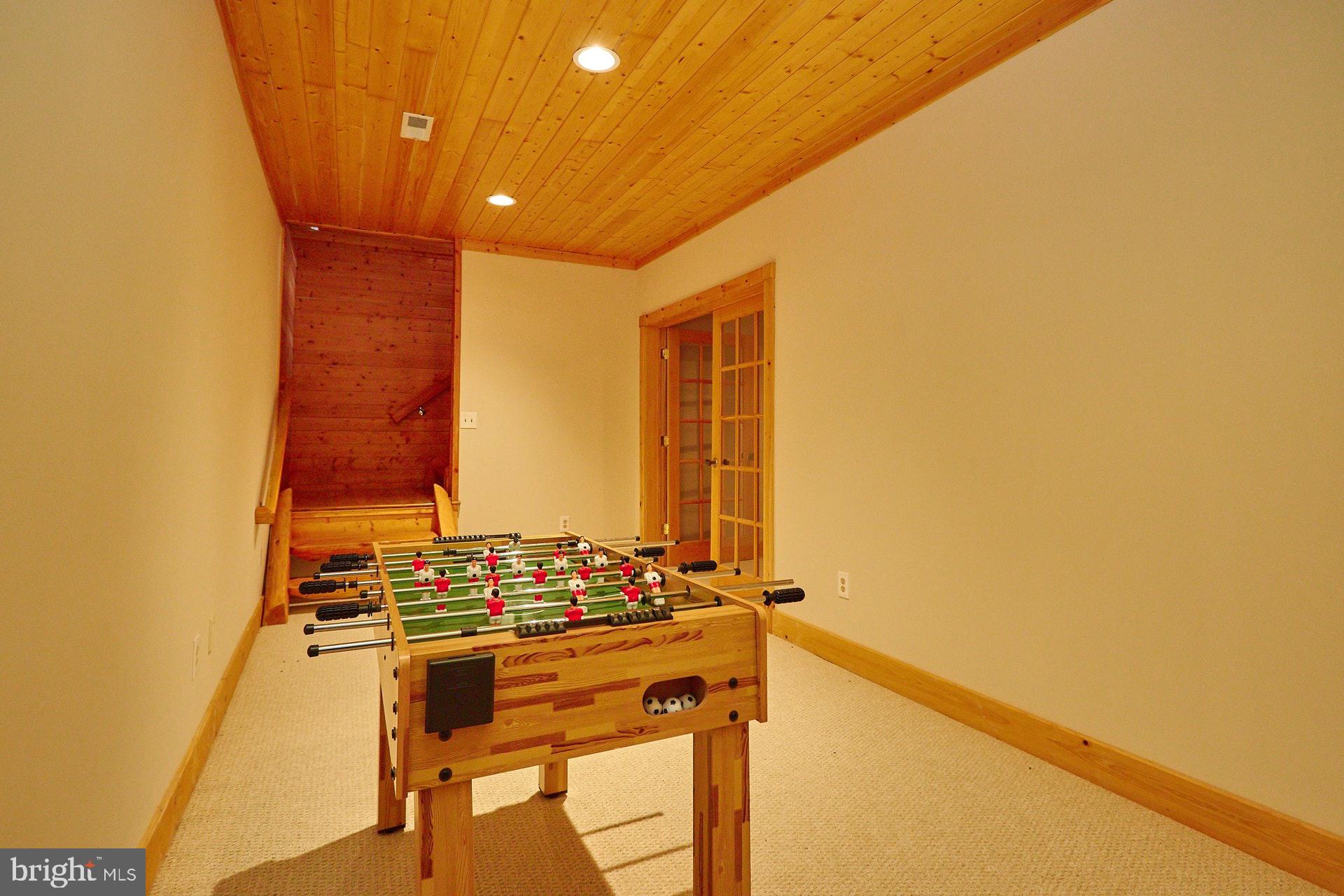 14047 Hume Road Hume, VA 22639 - Photo 44 of 73 Game Room w/recessed lights