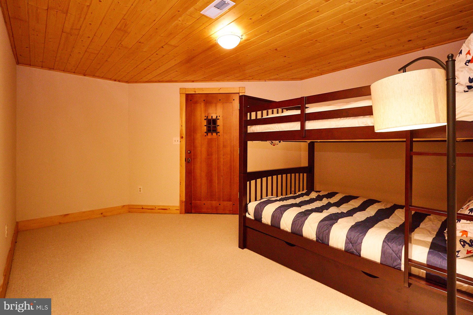 14047 Hume Road Hume, VA 22639 - Photo 49 of 73 Bedroom or Den in Lower Level leads to wine room