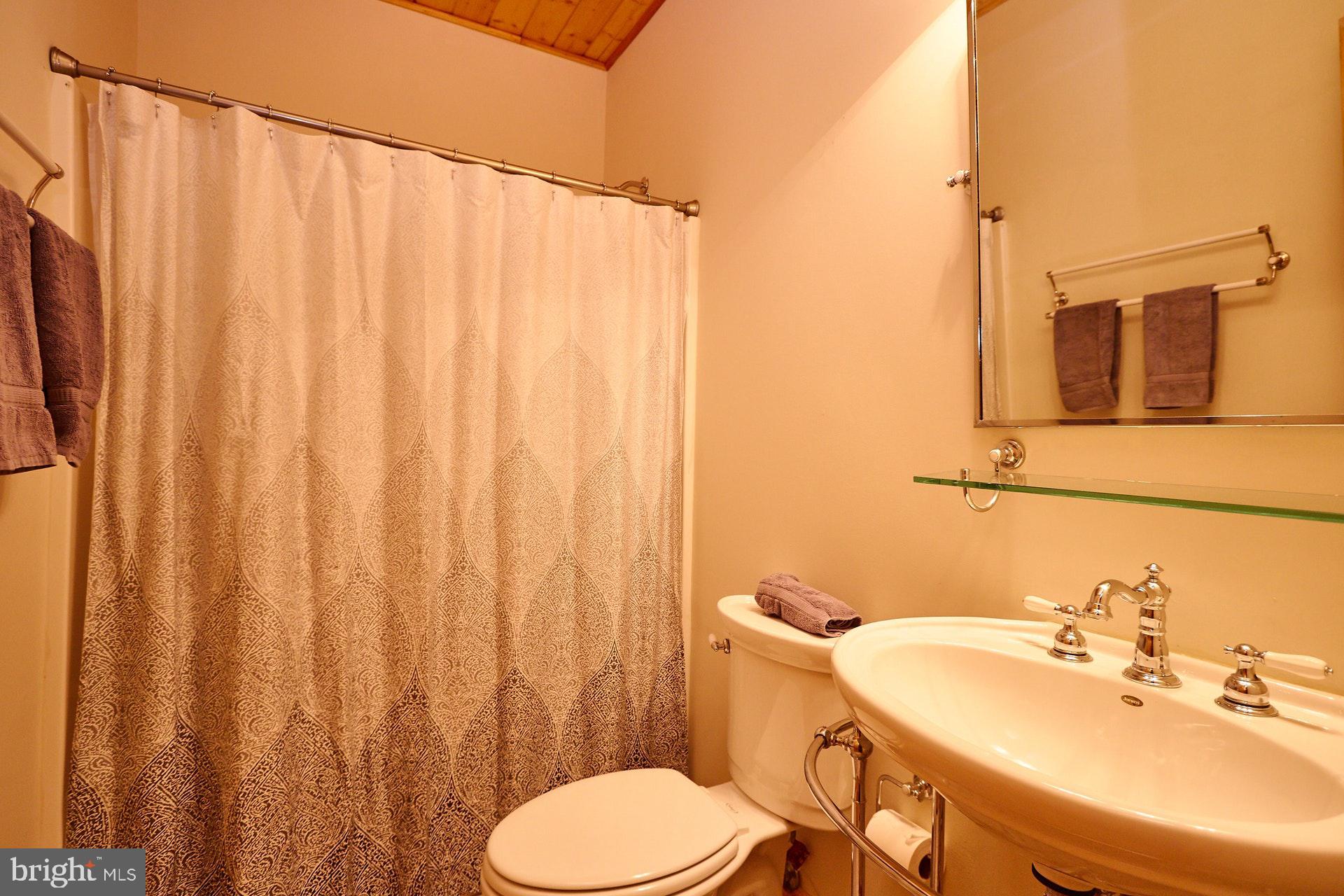 14047 Hume Road Hume, VA 22639 - Photo 50 of 73 Full Bathroom w/shower/tub