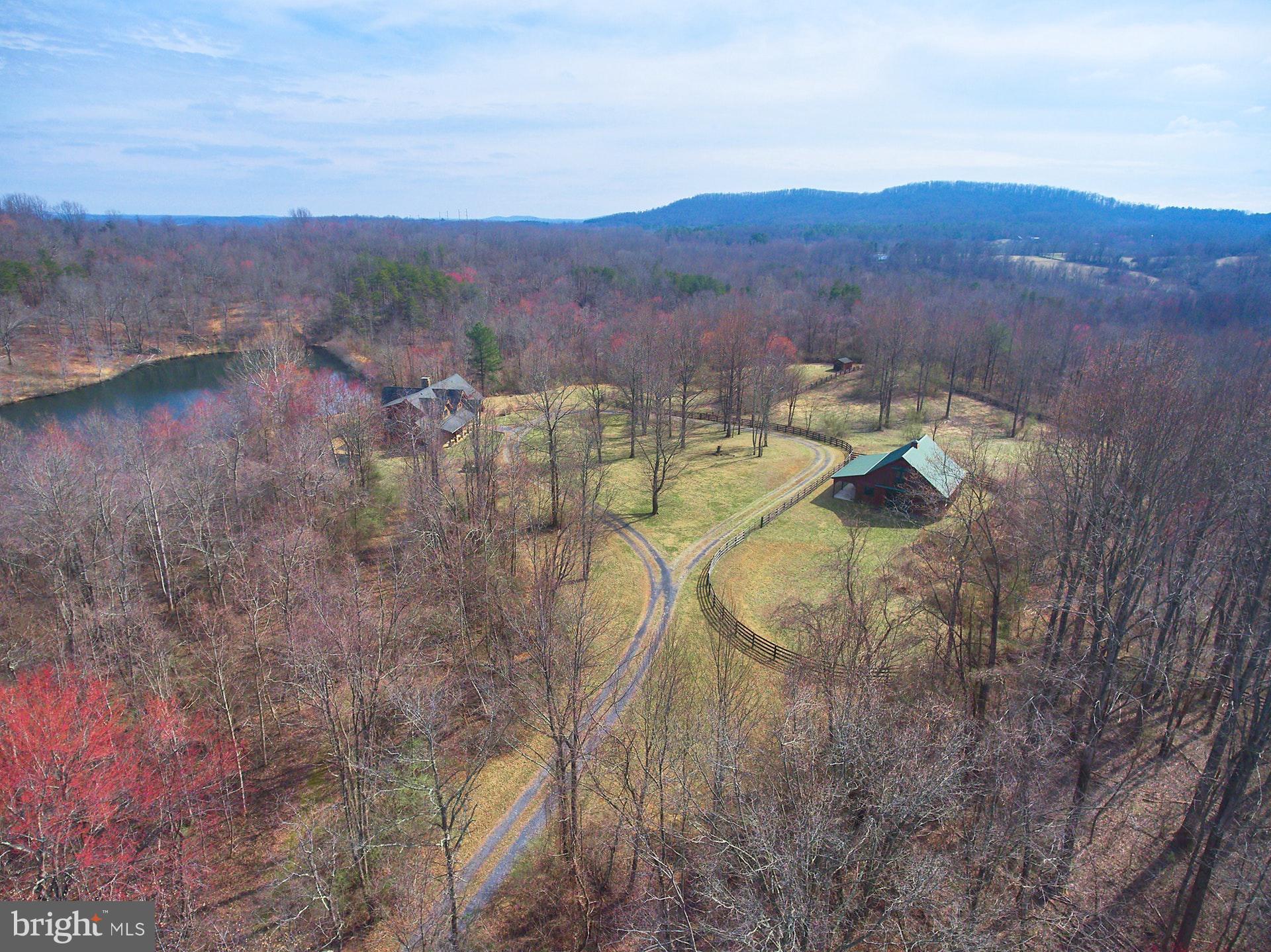 14047 Hume Road Hume, VA 22639 - Photo 55 of 73 Pristine Woods- great for hunting or fishing