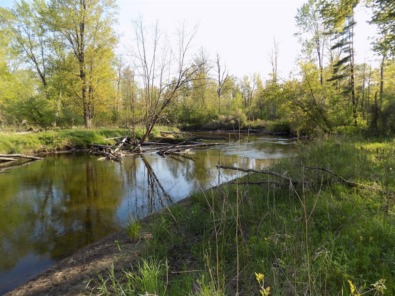 8590 West Long Lake Road Harrison, MI 48625 - Photo 35 of 50