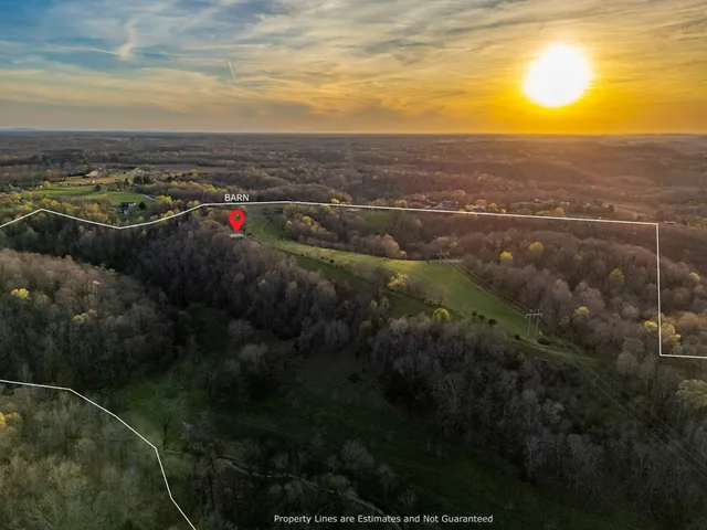 a view of a city with lush green forest