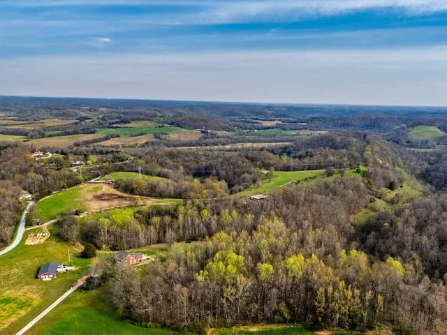 a view of a city with lush green forest