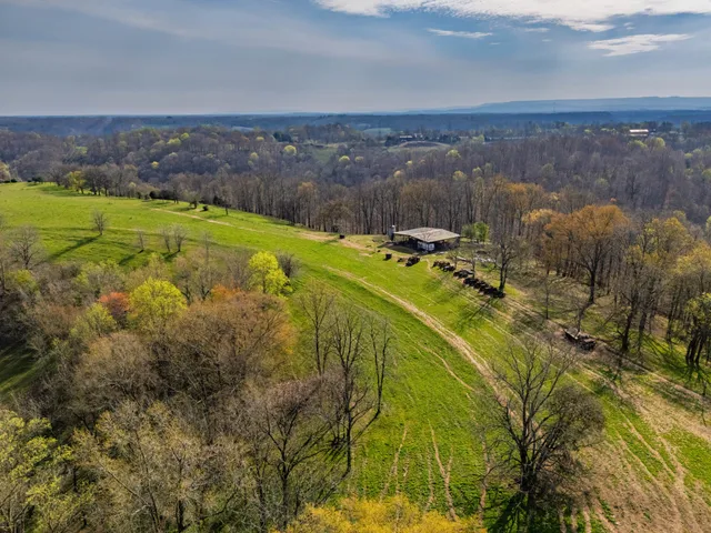 a view of a city with green space