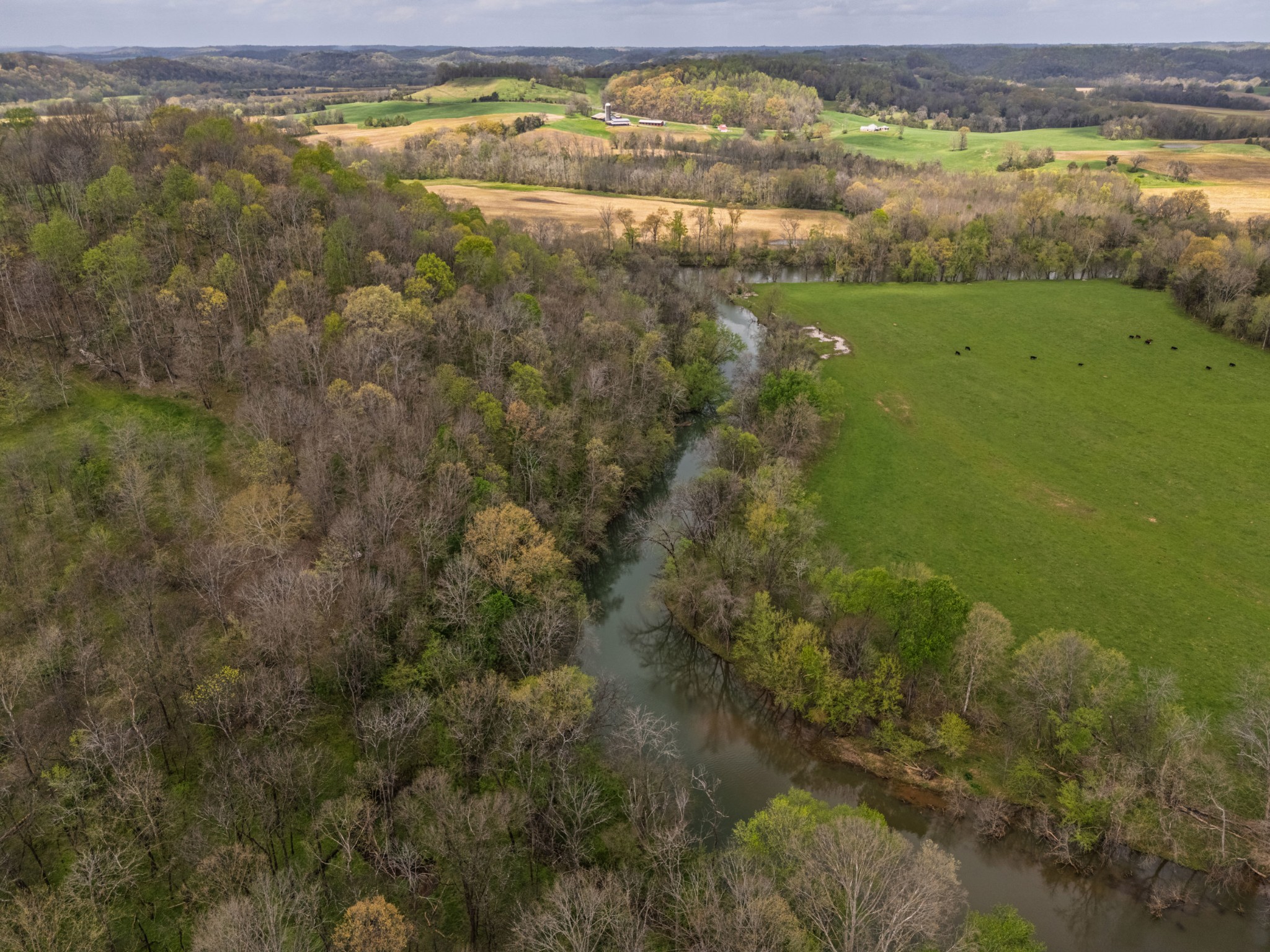 150 Shady Grove Road Flintville, TN 37335 - Photo 32 of 34
