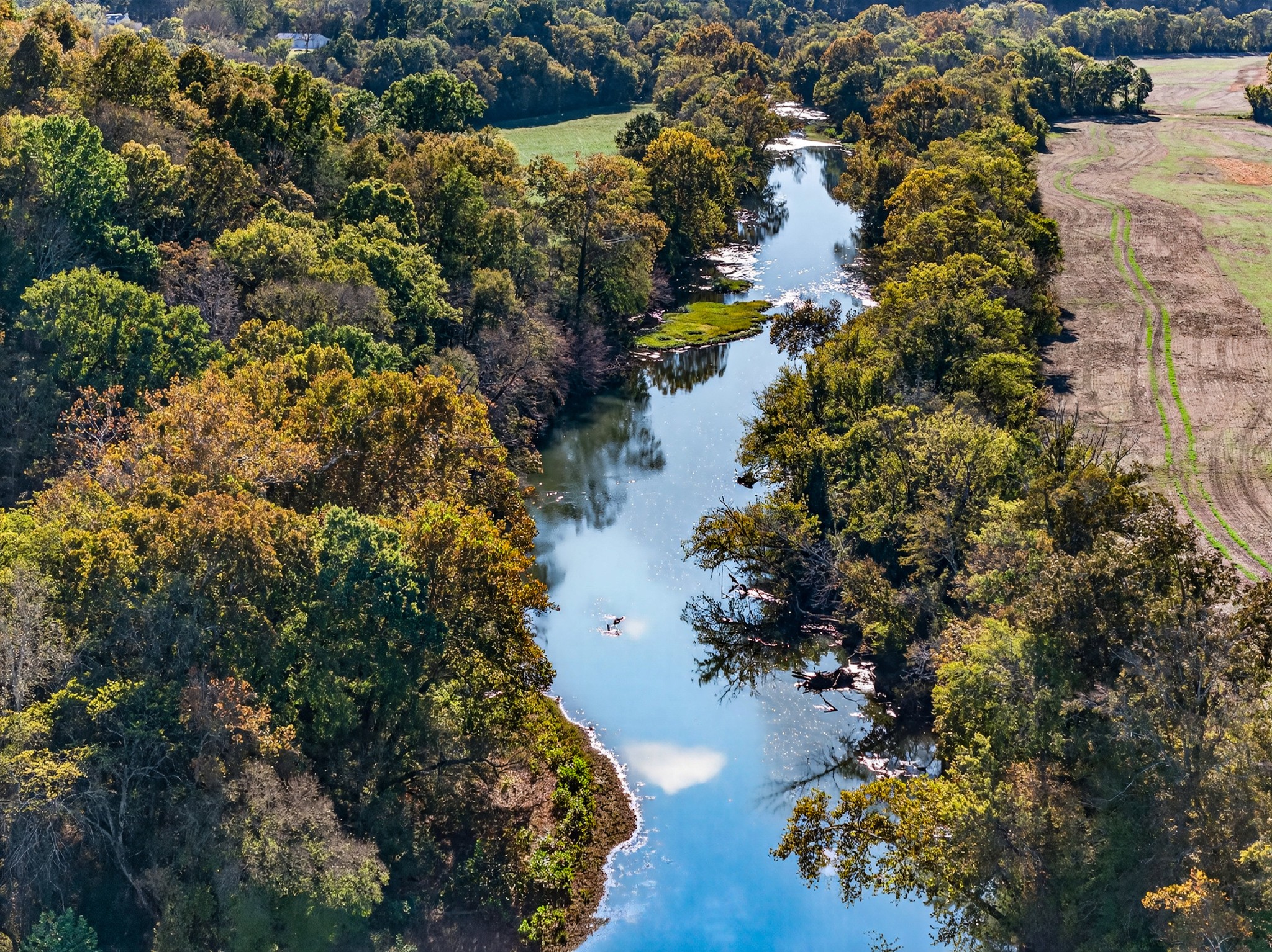 150 Shady Grove Road Flintville, TN 37335 - Photo 6 of 34
