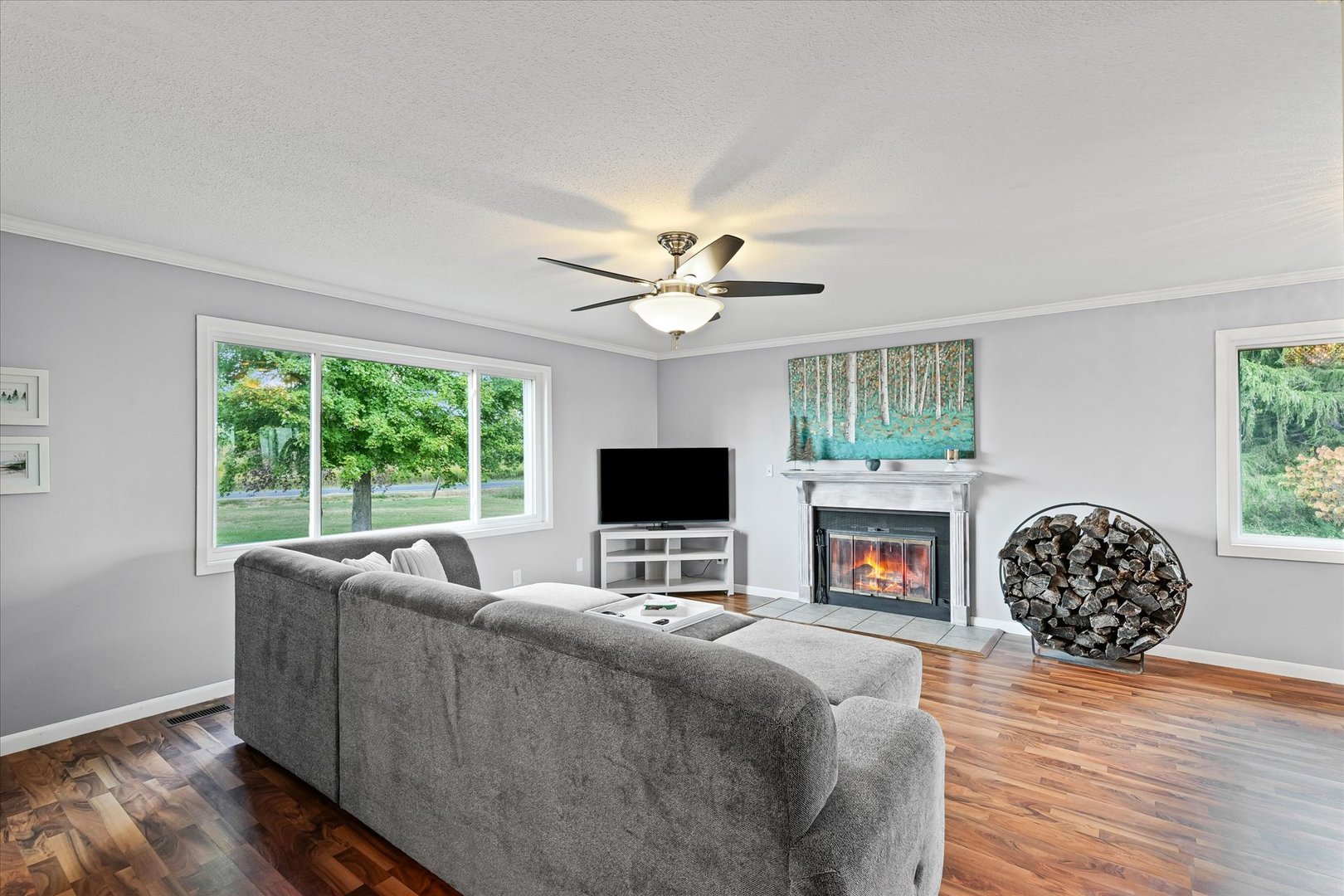 1707 West Old Church Road Champaign, IL 61822 - Photo 7 of 32 a living room with furniture a fireplace and a flat screen tv