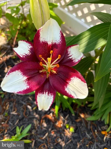 $799,900 | 2316 Bauernschmidt Drive, Essex, MD 21221