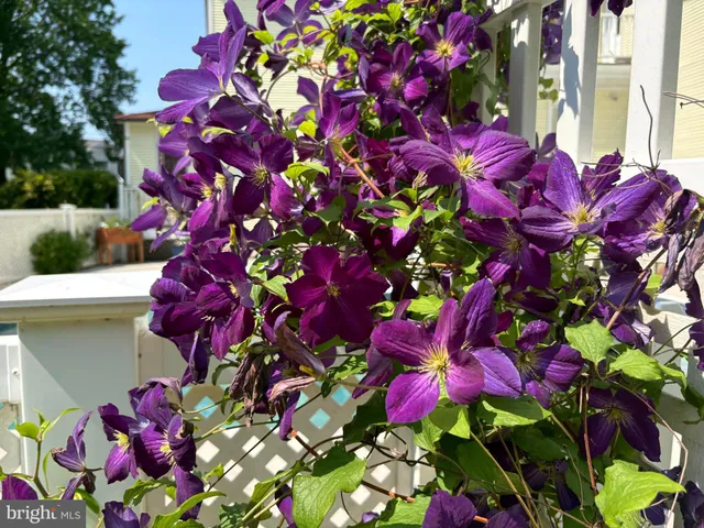 $799,900 | 2316 Bauernschmidt Drive, Essex, MD 21221